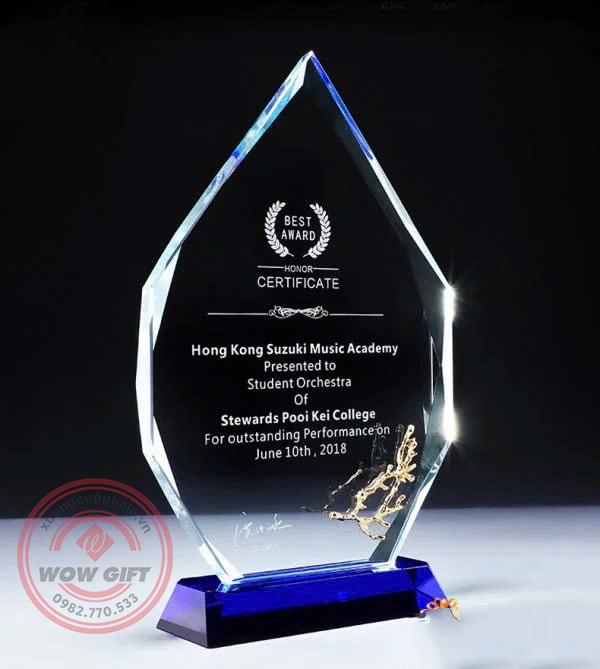 kỷ niệm chương pha lê