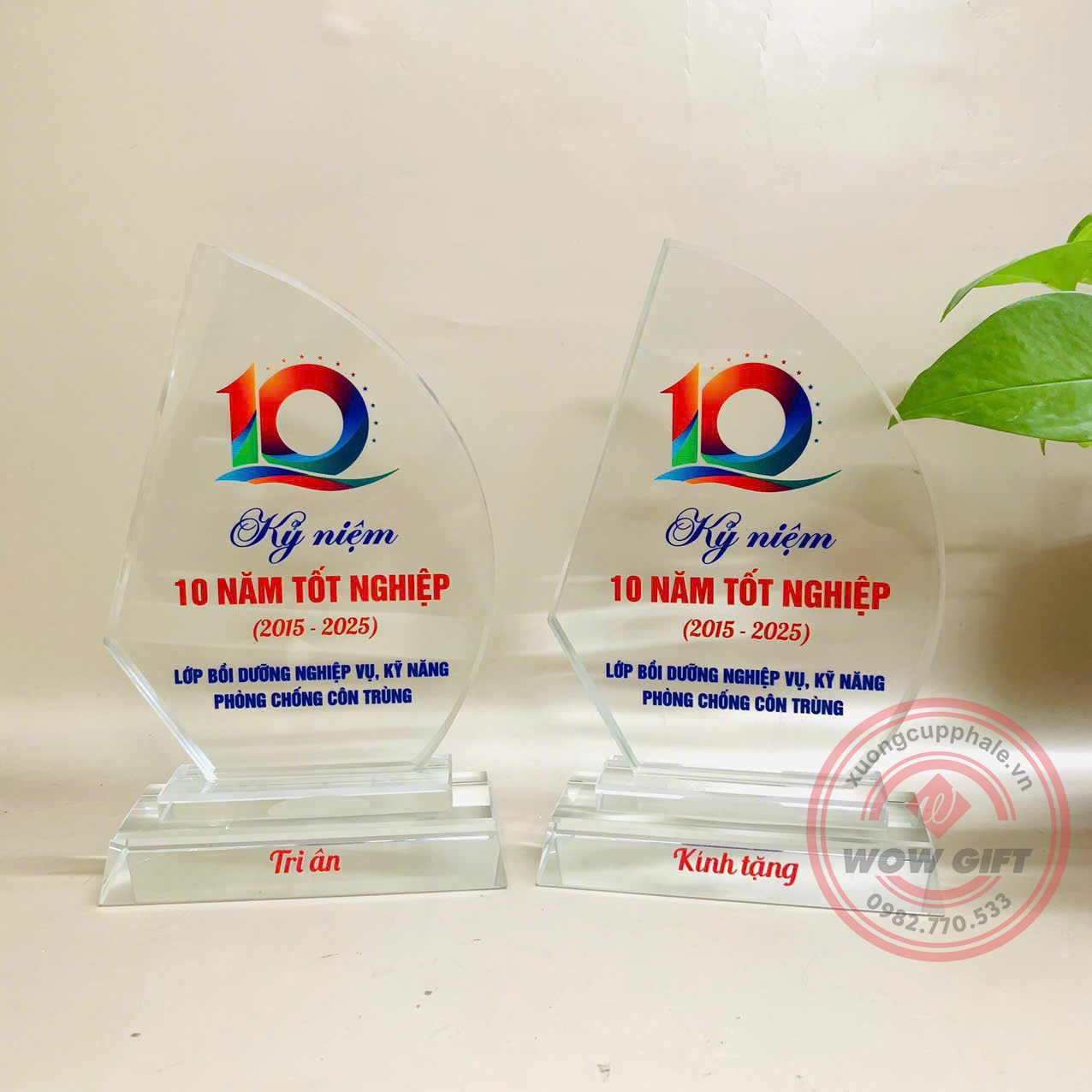 kỷ niệm chương pha lê