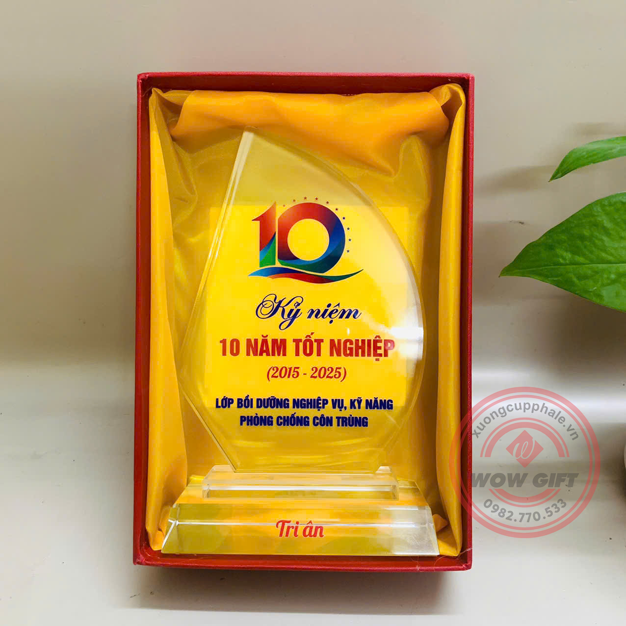 kỷ niệm chương pha lê