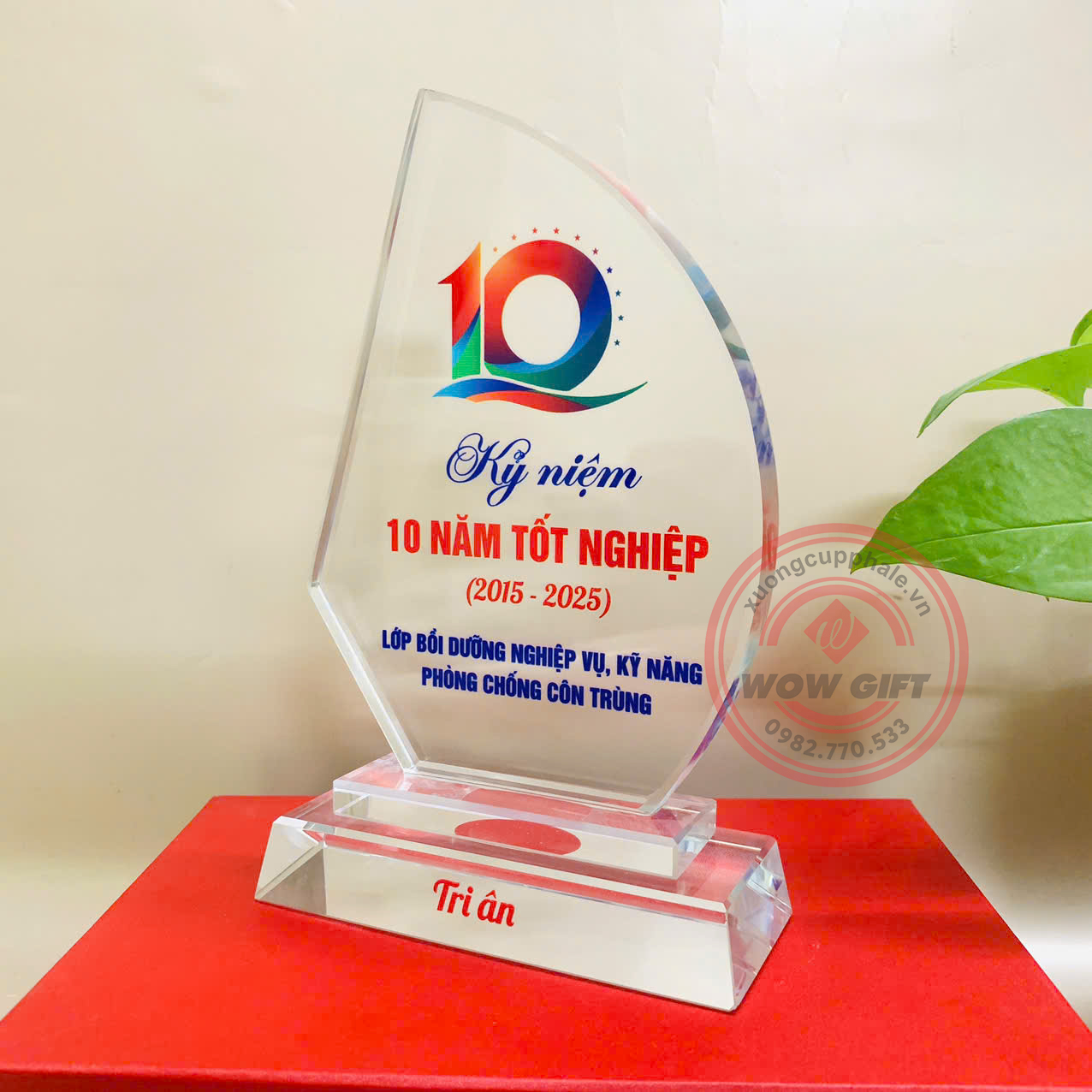 kỷ niệm chương pha lê