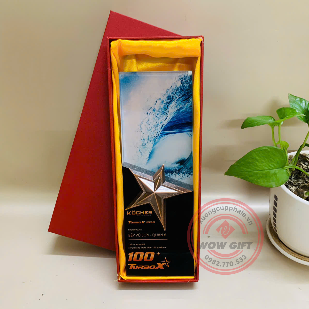 kỷ niệm chương pha lê