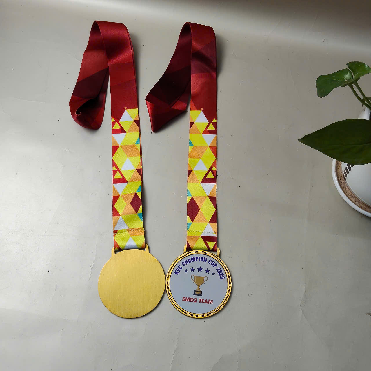 huy chương vô địch