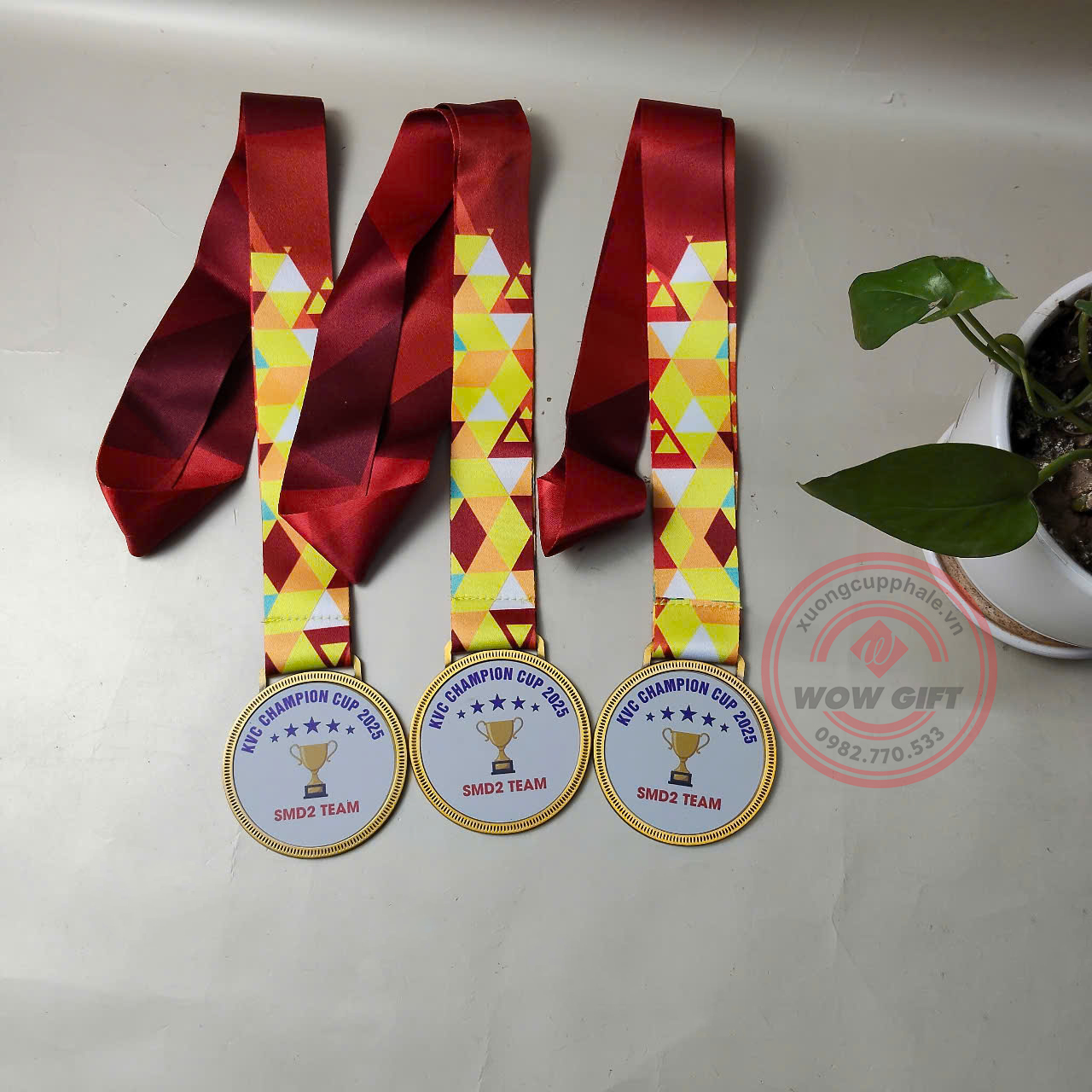 huy chương vô địch