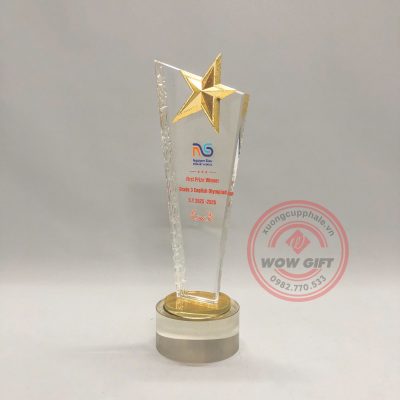 kỷ niệm chương pha lê